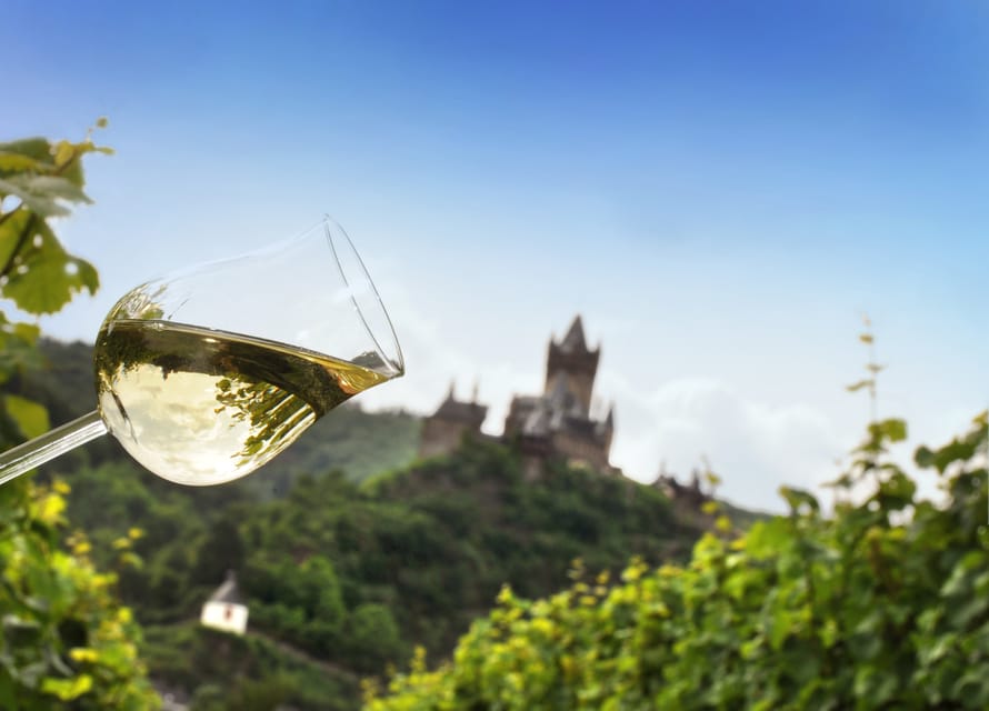 Cochem, Mosel: Mit dem Kanu zum Winzer - Should You Book This Canoe Trip to a Winzer in Cochem?