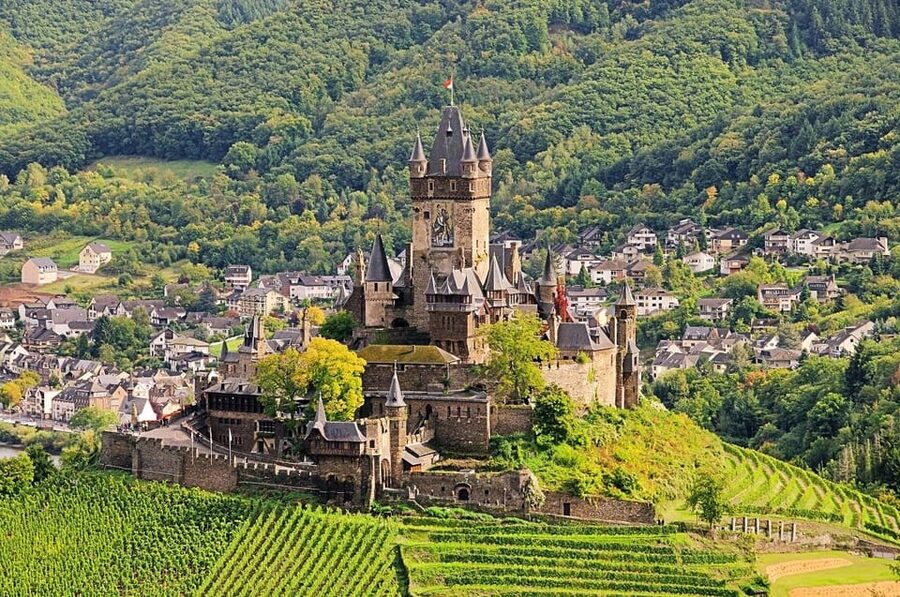 Cochem, Moselle: Castle, boat and wine tour - The wine and sparkling wine cellar: simple tasting, clear structure