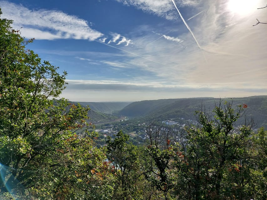 Cochem, Moselle: Wine experience hike with boat trip - Key highlights you should care about