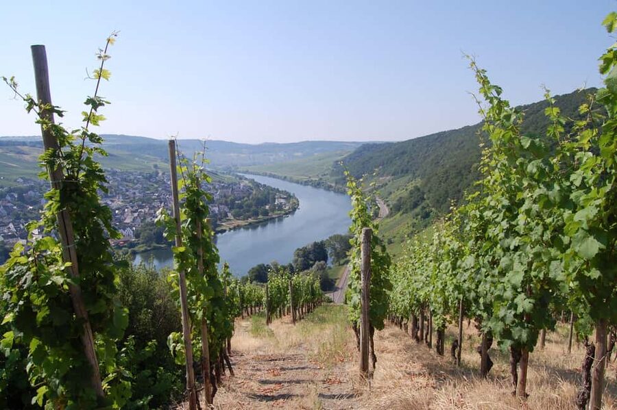 Cochem, Moselle: Wine experience hike with boat trip - Meeting on Moselpromenade 15, finding the dock, and getting to Bruttig by boat
