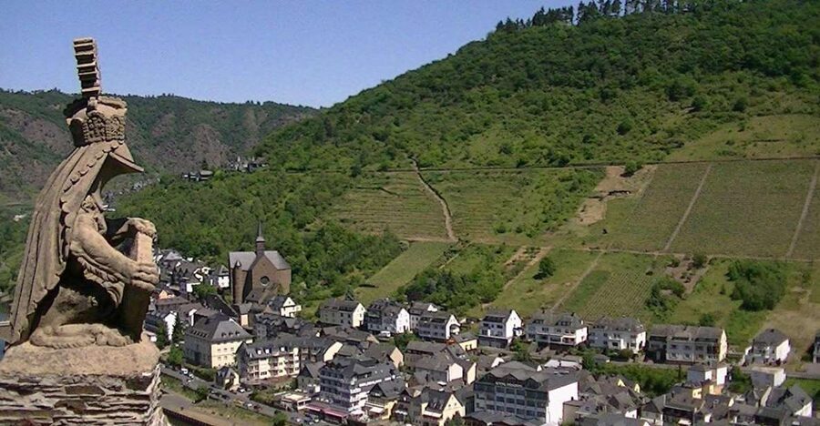 Cochem: Private Guided Walking Tour - Market Square and Half-Timbered Views