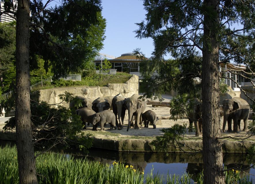 Cologne: Cologne Zoo and Aquarium Entry Ticket - First impressions: a world zoo that feels organized, not chaotic
