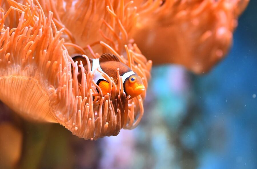 Cologne: Cologne Zoo and Aquarium Entry Ticket - Rules and comfort: small details that affect your day