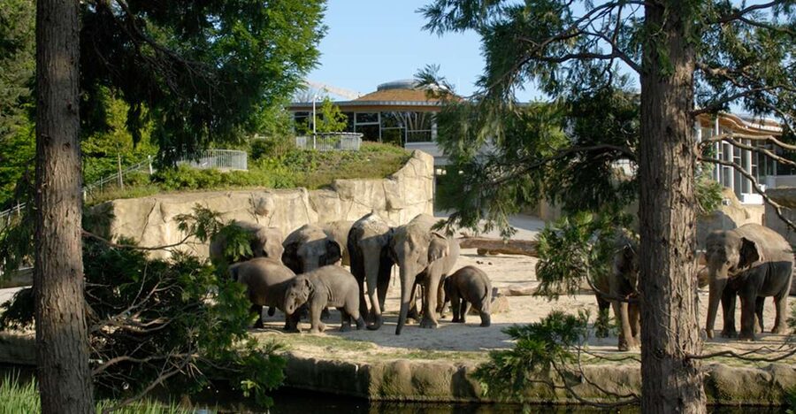 Cologne: Cologne Zoo and Aquarium Entry Ticket - Entering the zoo: where it is and how to plan your arrival