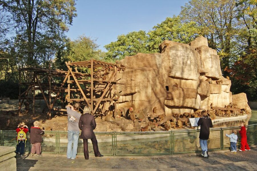 Cologne: Cologne Zoo and Aquarium Entry Ticket - Dinosaur meadow: when 15 metres of Argentinosaurus steals the show