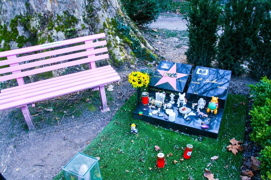 Cologne: Guided Tour of Melatenfriedhof - The quiet walk: how the tour uses 5,500 graves for storytelling