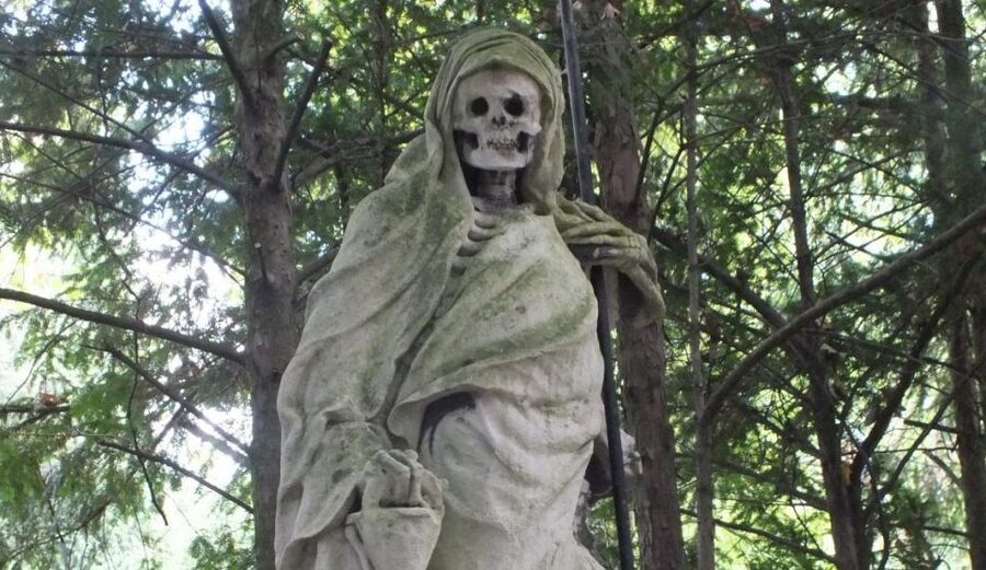 Cologne: Melaten Cemetery Life, Love and Death Tour - Key highlights you should care about
