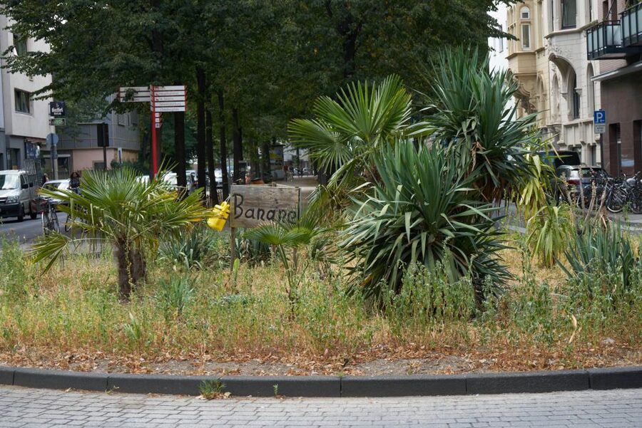 Cologne: Südstadt Guided Foodie Walking Tour - Price and Value: Is $589 For Up To 10 People a Good Deal?
