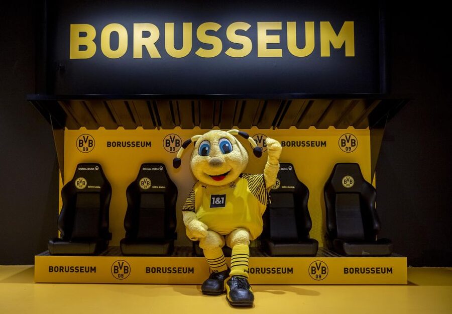Dortmund: Borusseum Borussia Dortmund Museum Entry Ticket - Treasure chamber time: the Big Five trophies