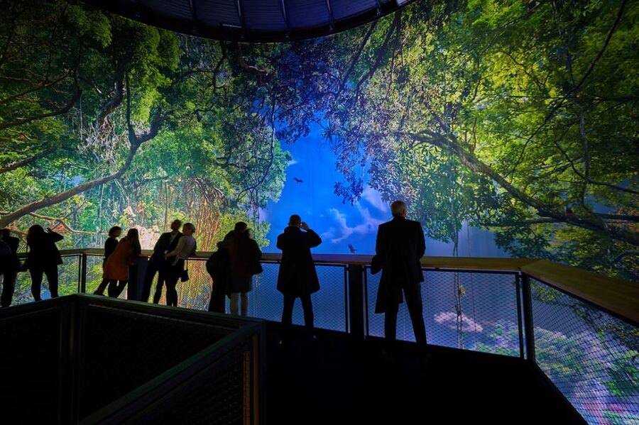 Dresden: 360° Panorama Amazonia Entry Ticket - Your roughly 2 hour flow, what happens during the visit