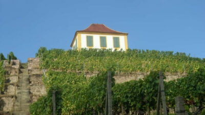 Boat Cruise with Wine Tasting and Snacks