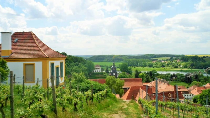 Dresden: Boat Cruise with Wine Tasting and Snacks - Getting off the water: arriving in the wine villages and starting the hike