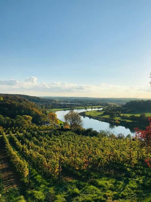 Dresden: Boat Cruise with Wine Tasting and Snacks - Return to Dresden: practical packing tips for a 10-hour day