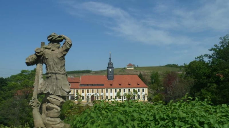 Dresden: Boat Cruise with Wine Tasting and Snacks - Value and timing: what you’re really paying for (even without a price listed)