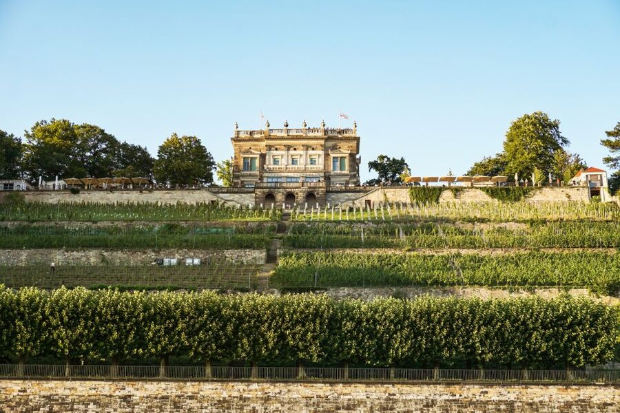 Dresden: Elbe River Cruise to Pillnitz Castle - Four Elbe bridges and the Blue Wonder clue