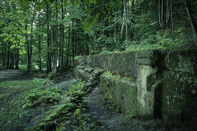 Eagle's Nest-Berchtesgaden-Obersalzberg Private Half Day WWII Historical Tour - The private 4-hour game plan, pickup, and getting back in time