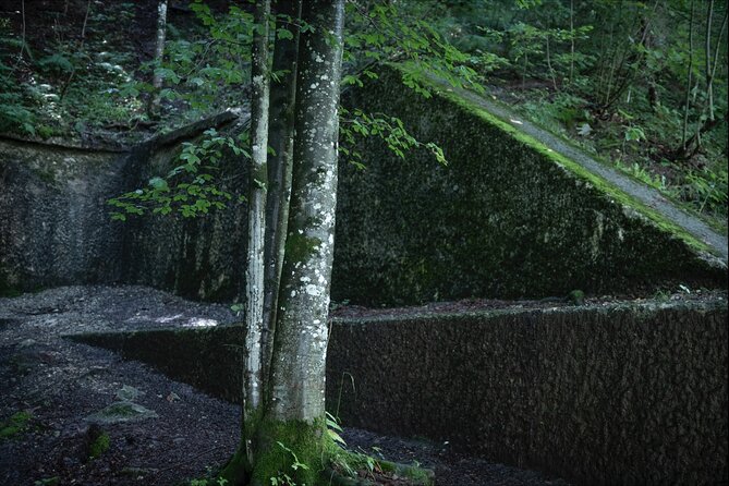 Eagle's Nest-Berchtesgaden-Obersalzberg Private Half Day WWII Historical Tour - Weather, shoes, and pacing tips for a smooth half-day
