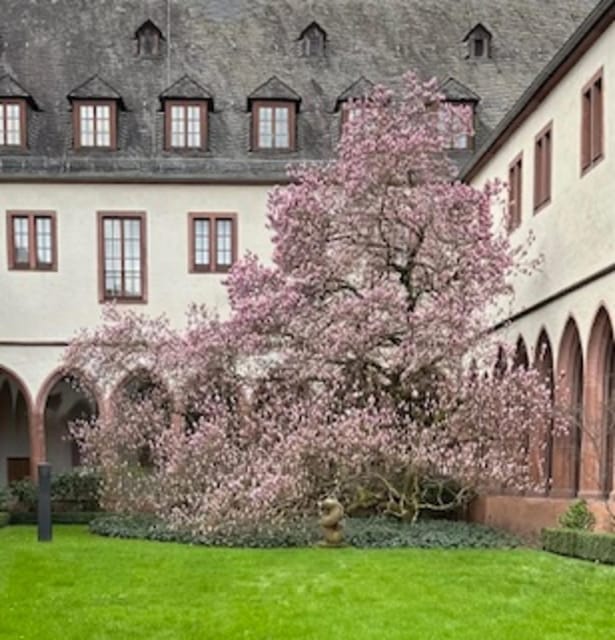 Frankfurt on Foot Daily Walking Tour in English - Alt Nikolai Church, House Wertheim, and the Half-Timber Surprise