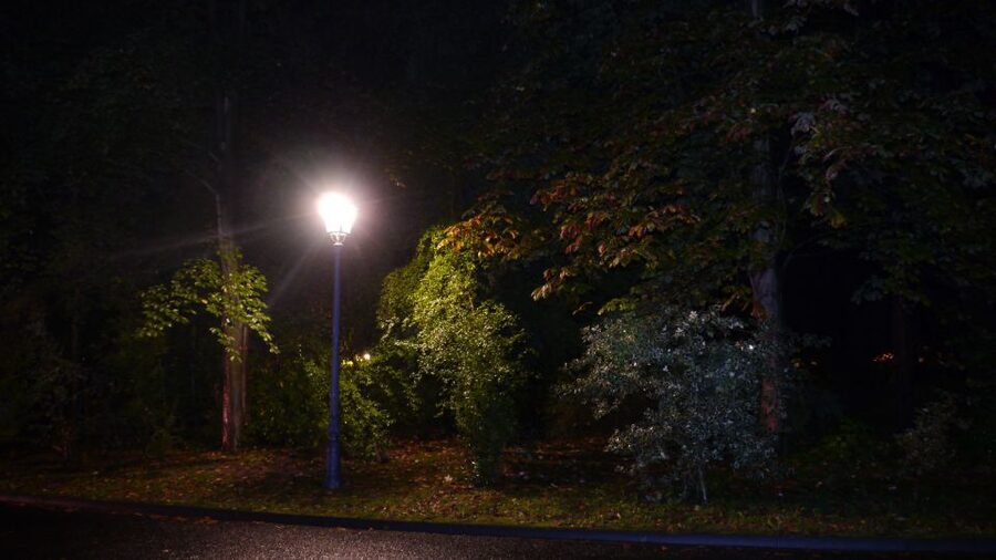 Frankfurt: The Black Death Tour - A 75-minute Black Death story walk through Frankfurt at night