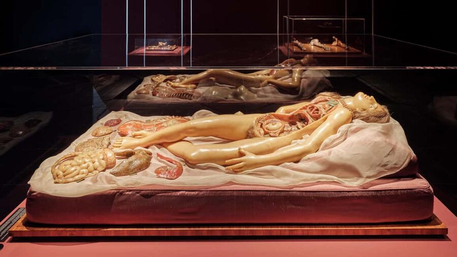 Frankfurter Kunstverein: Admission ticket - The real talk: who might love it, and who might not