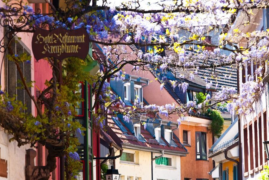 Freiburg: Gässle, Bächle and More City Tour - Key things you’ll notice on this walk