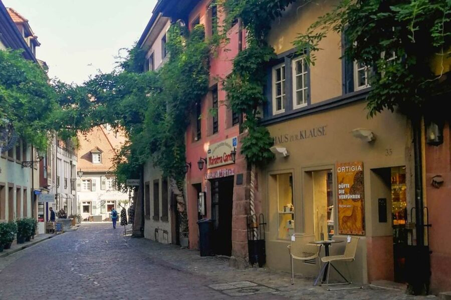 Freiburg: Gässle, Bächle and More City Tour - Gerberau and the Bächle, watching water guide the streets