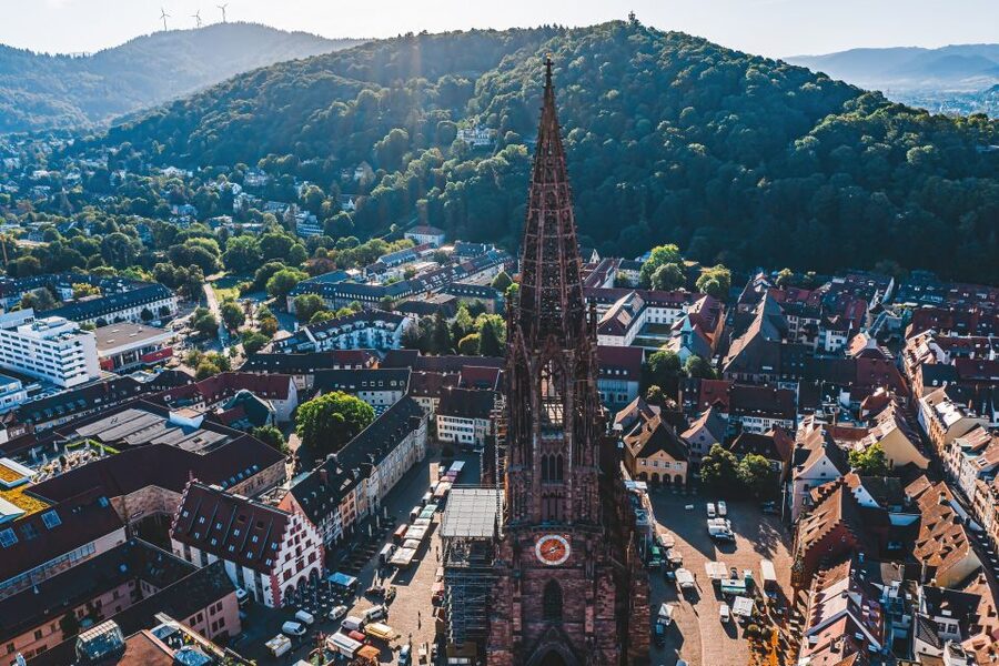 Freiburg: Veni, vidi, vino - wine hike and tasting - The hike segment: vineyards, steep paths, and earned viewpoints