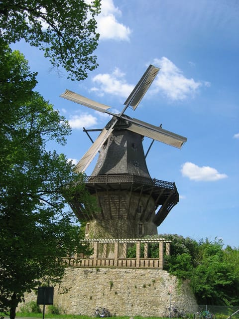 From Berlin: Gardens & Palaces of Potsdam Bike Tour - Getting to Potsdam: Easy Train Ride, Ready-to-Roll Bikes