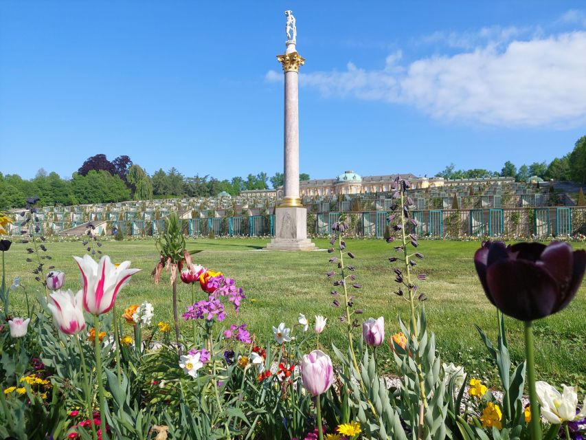 From Berlin: Potsdam Half-Day Guided Tour - Why Potsdam Feels Like a Side Trip with Real Payoff