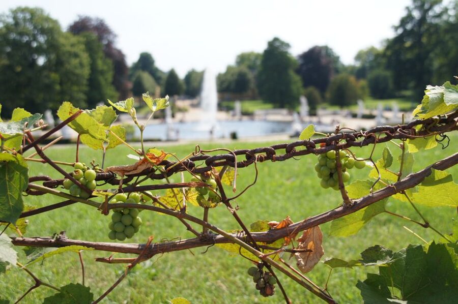 From Berlin: Potsdam Half-Day Tour in Spanish - What this tour is really about: Frederick’s arts, Hohenzollern power, and city beauty