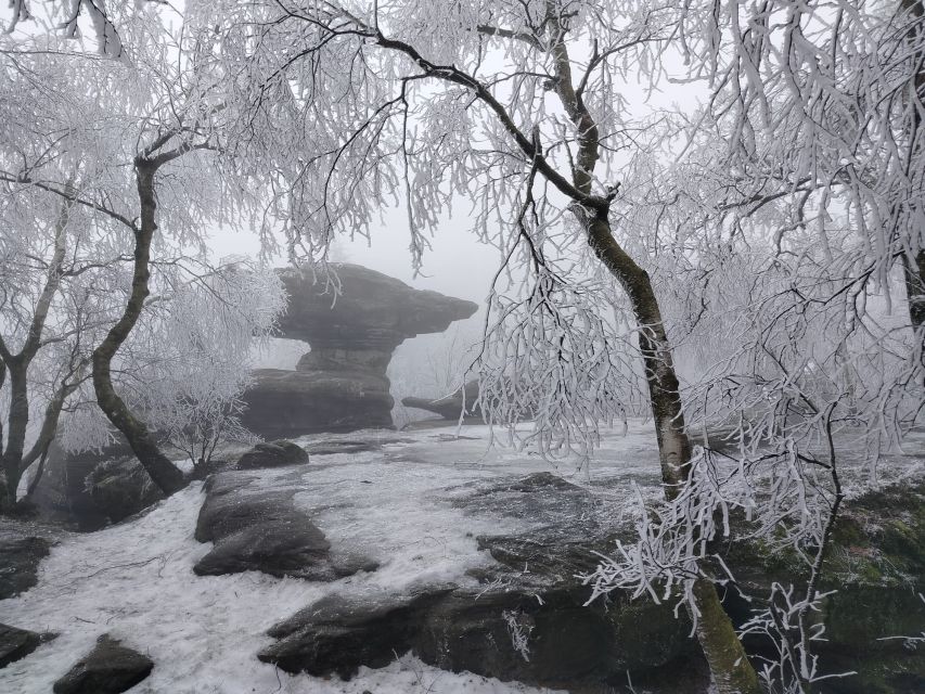 From Dresden: Bohemian & Saxon Switzerland Day Trip - Edmund’s Gorge, Tyssa Walls, and the Narnia-style stops