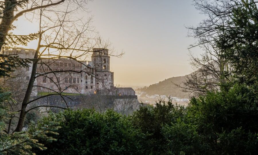 From Frankfurt: Day Tour to Heidelberg with Local Guide - Key highlights you will actually feel