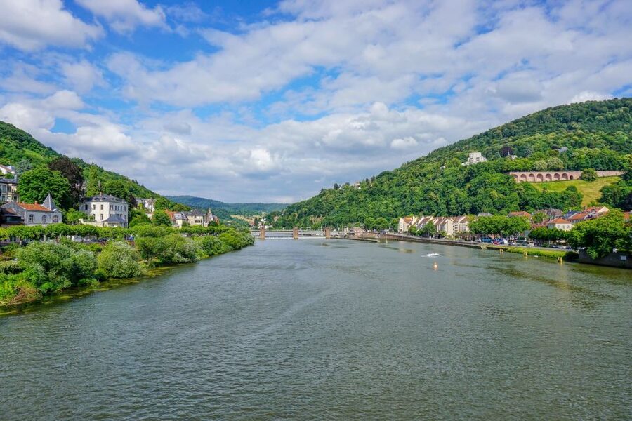 From Frankfurt: Heidelberg, Castle and Old City Guided Tour - Price and value: what you get for about $152