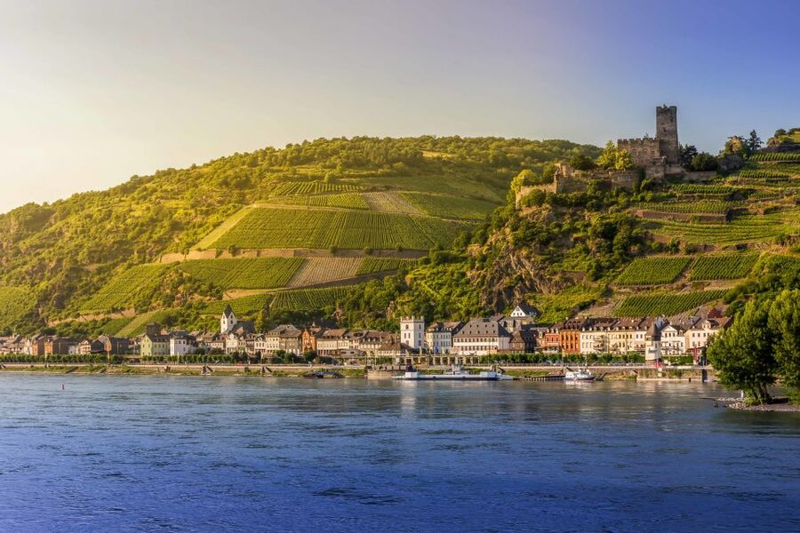 From Frankfurt: Rhine Valley Day Trip - Assmannshausen Lunch by the River: Where the Day Starts to Taste Like the Region