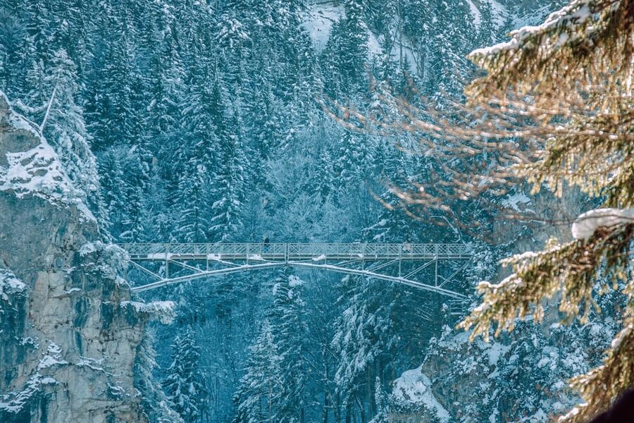From Hohenschwangau: Tour to Neuschwanstein Castle - Horse-Drawn Carriage Down to Hohenschwangau: A Fun, Local-Style Finish
