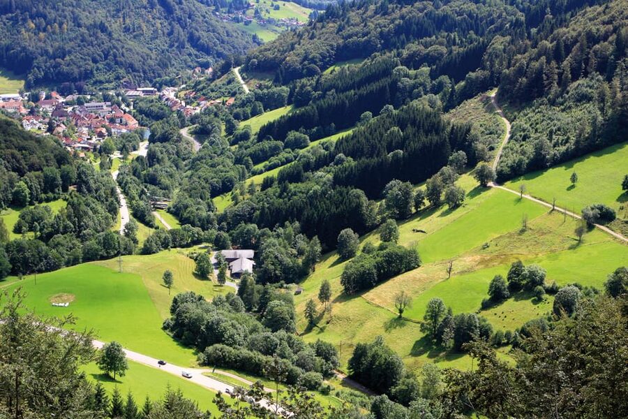 From Strasbourg: Black Forest and Baden Baden Day Trip - Who should book, and who should skip this day trip