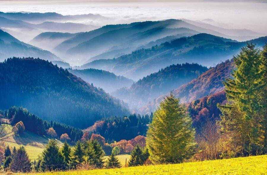 From Strasbourg: Black Forest and Baden Baden Day Trip - Mummelsee Lake break, where you can slow down