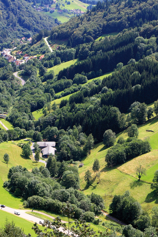 From Strasbourg: Black Forest and Baden Baden Day Trip - Baden-Baden walking tour, villas and Lichtentaler Allee