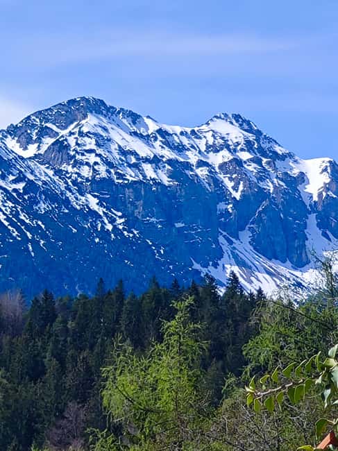 Füssen to Neuschwanstein Castle - Guided Scenic Tour - Price and value: does $47 per person make sense?