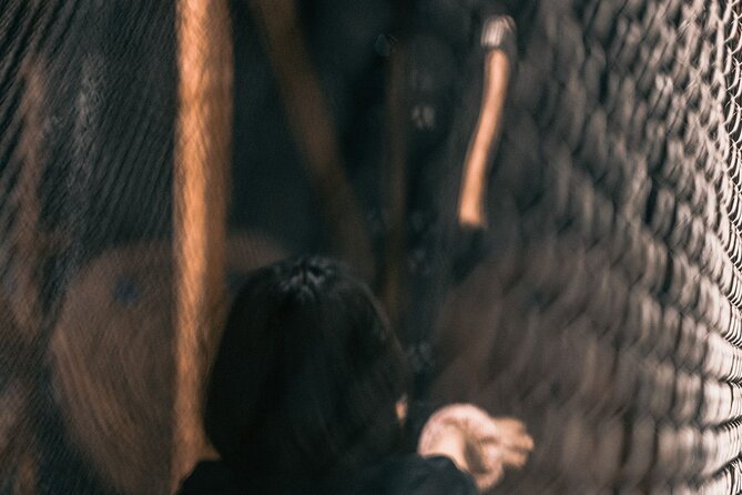 Guided Axe Throwing Experience in Frankfurt Altstadt - Price and value: what you get for $29.02