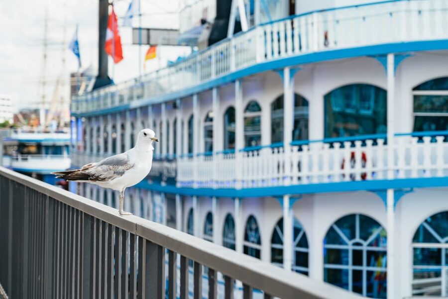 Hamburg: 1-Hour Harbor Sightseeing Cruise with HafenCity - Elbe River Views and the Bridge Lines You Cannot Get From Land