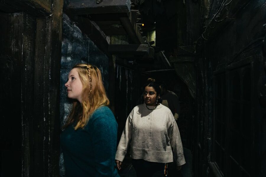 Hamburg: Hamburg Dungeon Admission Ticket - Spooky level: laughs, screams, and how to judge fit for your group