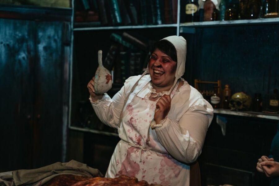 Hamburg: Hamburg Dungeon Admission Ticket - Price, value, and what you are really paying for