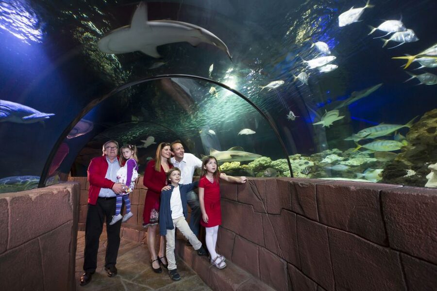 Hanover: SEA LIFE Entry Ticket - Value check: what about this $19 ticket feels worth it