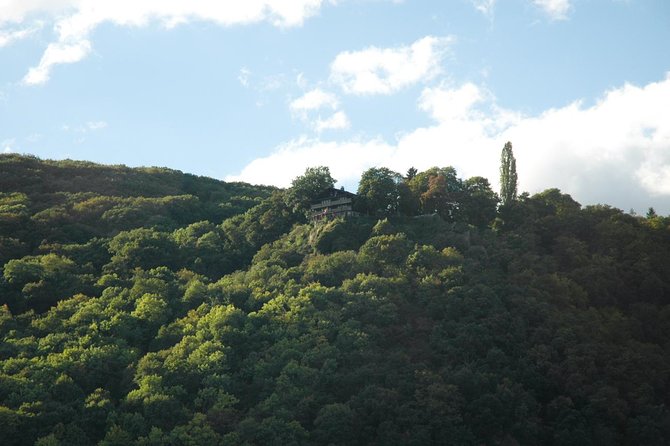 Heidelberg and Rhine Valley Day Trip With Wine Tasting and Dinner from Frankfurt - Dinner and the wine tasting in Rudesheim: how to set expectations