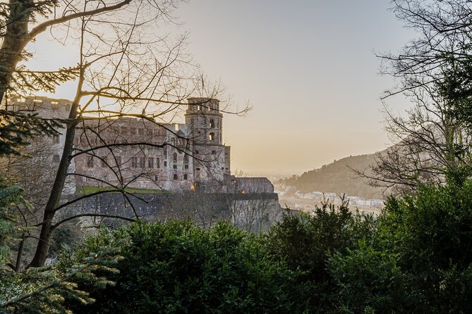 Heidelberg Castle and City Day Tour from Frankfurt - Meeting In Frankfurt: Easy Start, Clear End