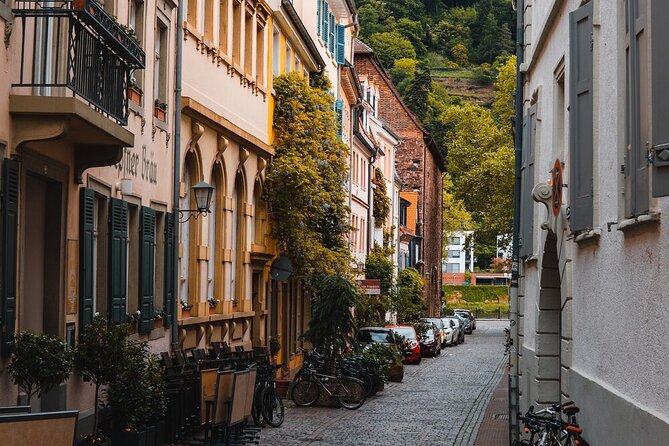 Heidelberg Castle and City Day Tour from Frankfurt - The Ride to Heidelberg: Your Time Filled With Context