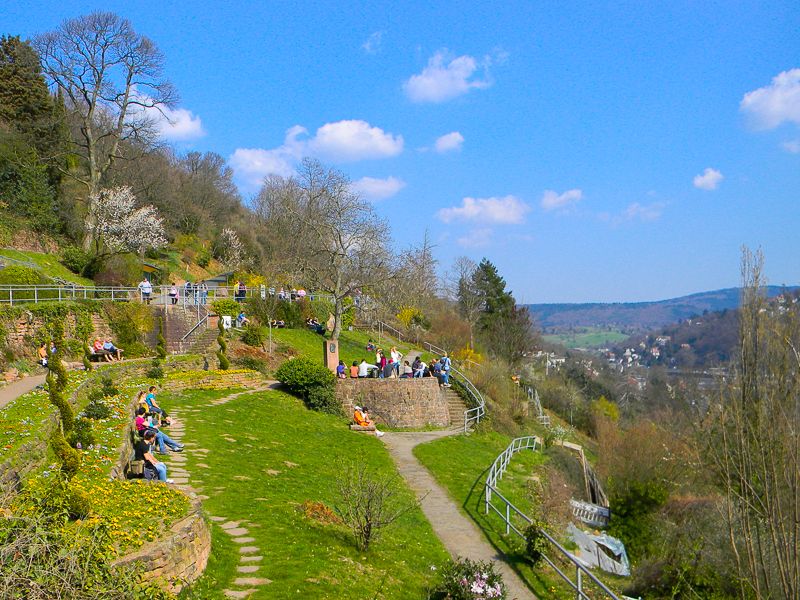 Heidelberg Castle Tour: Residence of the Electors - Key highlights worth your time