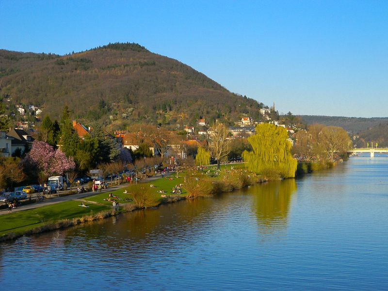 Heidelberg Castle Tour: Residence of the Electors - Kornmarkt meeting point and the simple ways to reach the castle