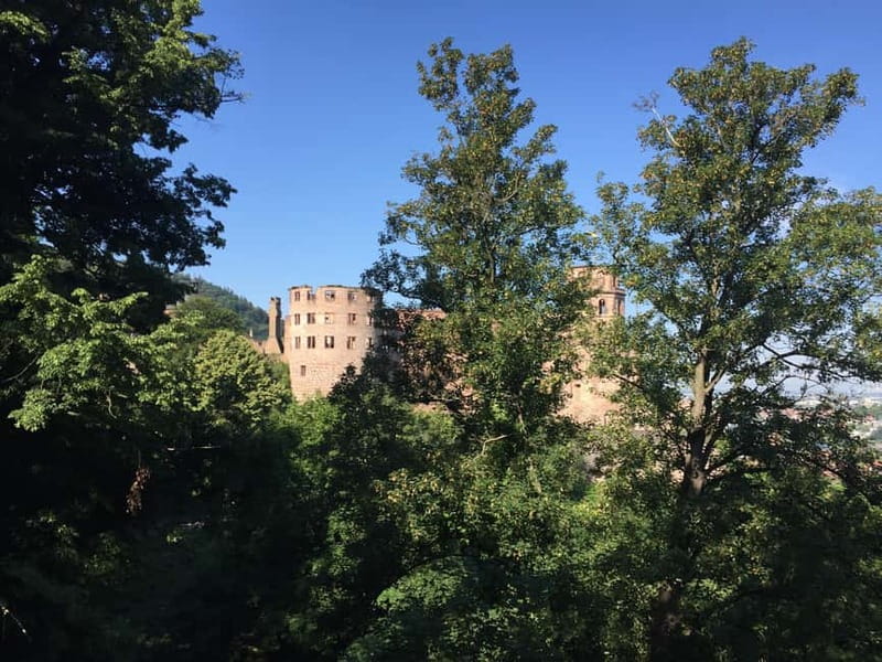 Heidelberg: Discover Heidelberg Castle - experience history up close - German Pharmacy Museum: a clever detour inside castle life